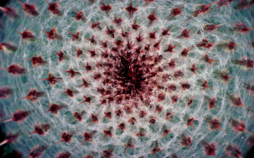 447597 (a): :2560x1600